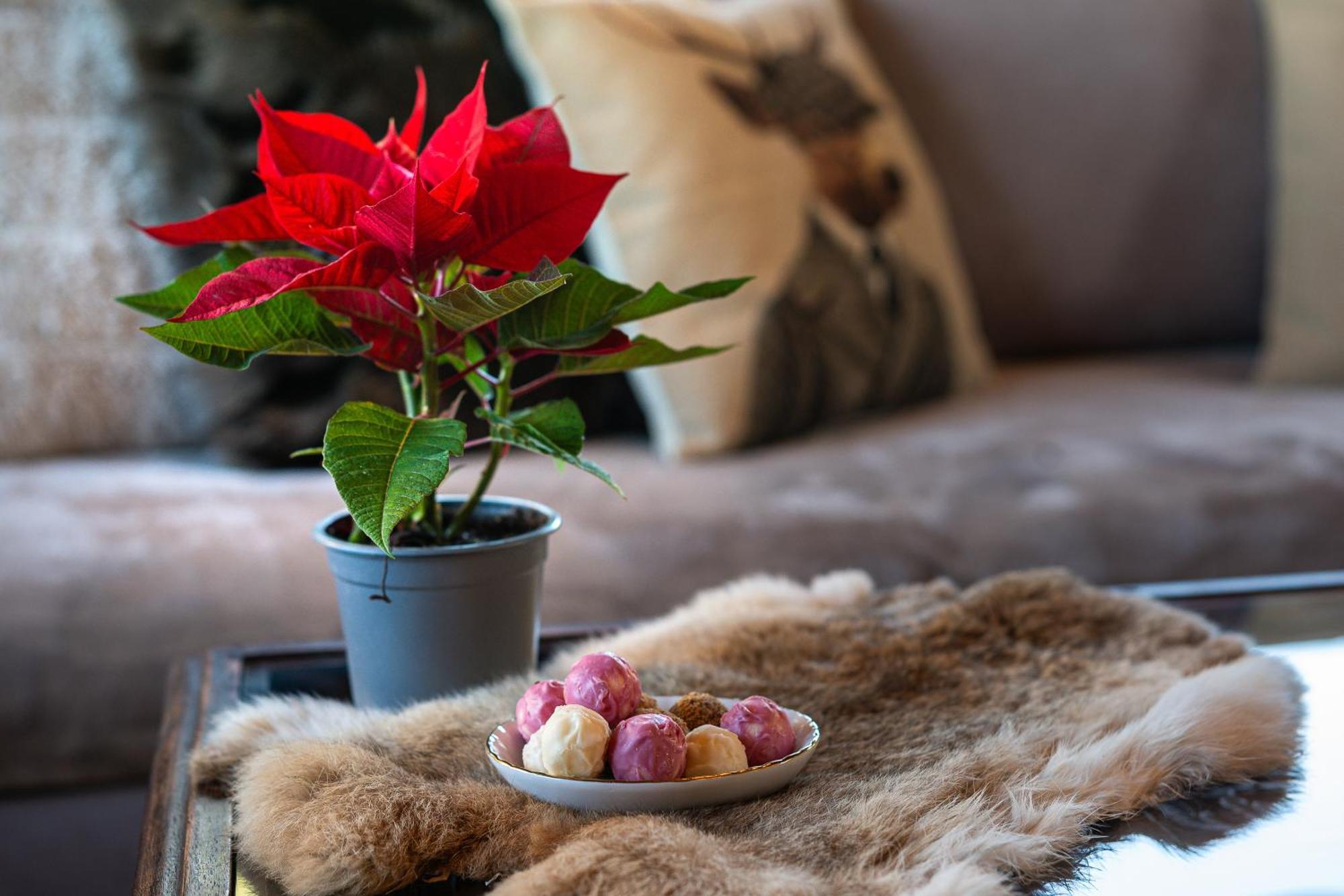 Livadi Cozy Villa อาราโชวา ภายนอก รูปภาพ